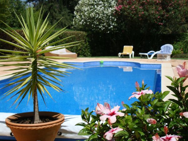 Cost of Pool Terrace Renovation in Poulsbo